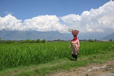 India warns of major ‘food crisis’ in coming months amid El Nino and global conflicts