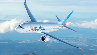 Pilot tried to kill co-pilot with knife on Flydubai flight, passenger's mother tells AFP