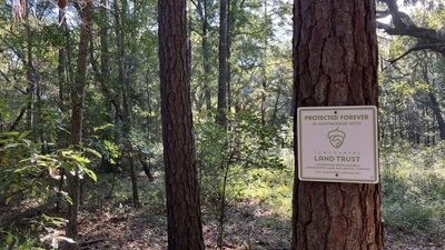 South Carolina to pair 102-acre nature preserve with 50 affordable homes on Johns Island