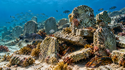 In 2021, New Jersey turned 400 donated gravestones into a 60-ton reef for marine life