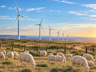 In 2001, 125 wind turbines went up on Texas land used for sheep grazing and hunting; those uses continued, while the project paid about $930,000 in school taxes