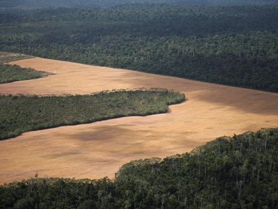 Earth’s 7 of 9 Planetary Boundaries have been breached: Amazon, oceans and climate are among systems under pressure as situations continue to worsen