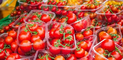 The end of endless summer: why cheap winter veg is under threat
