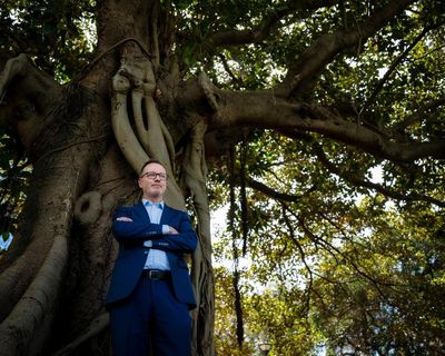 A ‘huge ego’ but effective: who is David Shoebridge, the polarising new Greens leader taking on One Nation?