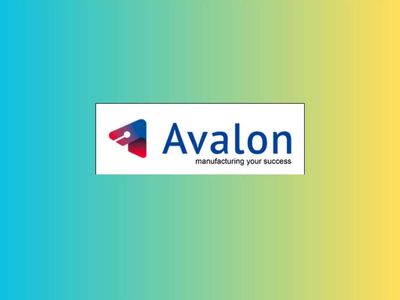 Promoters dilute 6% stake in Avalon Technologies for Rs 871 crore