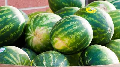 A shopper looked at the allergen warning on a watermelon—and spotted 8 items that shouldn’t be there