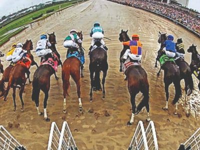 Check gate before the horse bolts