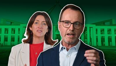 'Angry' Greens chief says Labor leaving voters in lurch