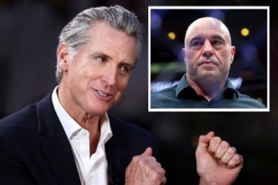 Gavin Newsom claims ‘bull**** artist’ Joe Rogan is too scared to have him join the show