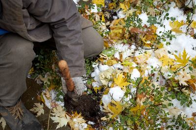 Your First Frost Is Coming — 8 Garden Jobs That Should Happen Before It Arrives