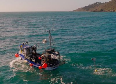 Floating scarecrows: how Cornish fishers are stopping seabirds drowning in their nets