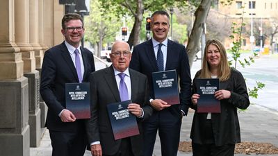 Nation-first inquiry to probe impacts of AI 'genie'