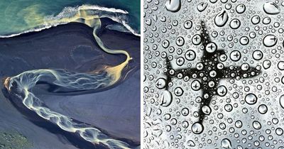 87 Real Pictures That Look Too Perfect To Be Natural But Don’t Have A Drop Of Photoshop