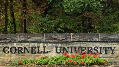 Cornell rape case: Transcript shows student said she was raped, sparking probe review