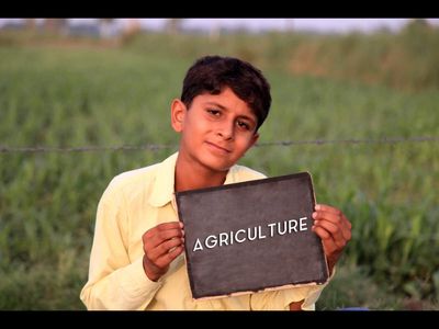 From farm to classroom: Mahatma Gandhi’s vision for basic education and future of agricultural learning