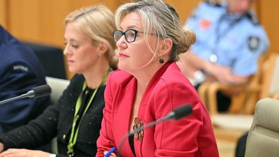 Key alliance deliberately vague on military game plan