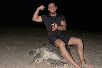 Oman Sea Turtle Outrage Revives Hawaii Case of Ukrainian Tourist Accused of Throwing Rock at Endangered Seal