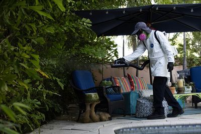 El Paso Man in His 50s Hospitalized with Severe West Nile as Rain Raises Mosquito Risk for Families