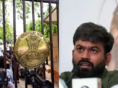 Delhi HC told permission for E20 protest at Jantar Mantar rejected on law-and-order grounds
