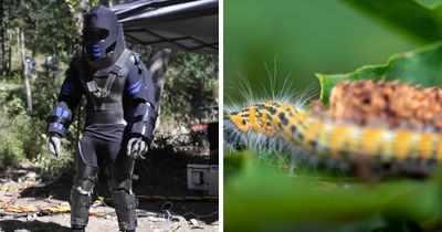 Guy Who Allowed A Snake To Eat Him Reveals The Worst Pain In His Life Was Something Else Entirely