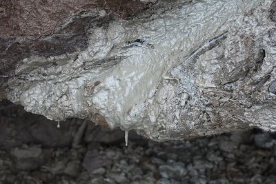 Heat-trapping gas once frozen in Arctic ground is slowly leaking and warming the planet