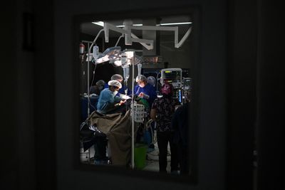 Surgeons Removed a Woman's Bleeding Kidney Because Cancer Couldn't Be Ruled Out, but Pathology Found an Old Clot