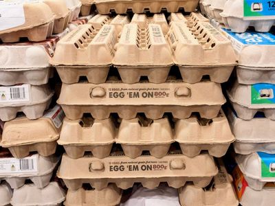 The Egg Carton Mistake That Costs You a Dozen: Why U.S. Eggs Rot in Hours Off the Fridge