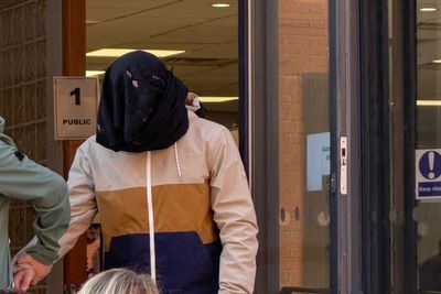 Teen Admits Trying to Have Sex With Shetland Pony Named 'Cheeky' and Faces Possible Jail Term