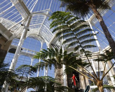 Falling glass and ‘decapitated’ plants: the race to protect Edinburgh botanic garden’s plants