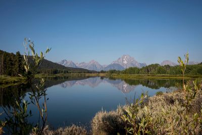 MLB won't consider game at Grand Teton National Park, says was only conducting initial due diligence