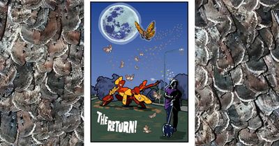 Mick Ashley's speedy tribute to this week's bogong moth invasion