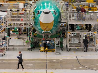 Boeing 737 MAX software issue: US FAA to convene review on Friday