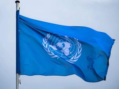 Developing countries hit by overlapping crises, UNDP chief warns