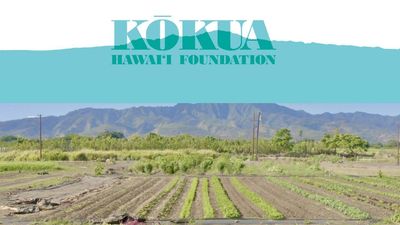Jack Johnson’s foundation transformed neglected Hawaii farmland into a thriving farm for students