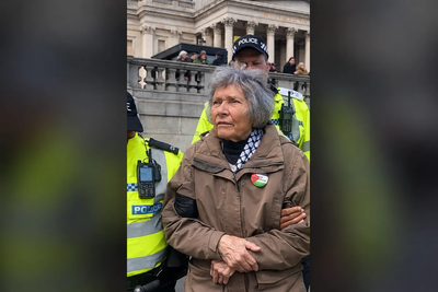 Who Is Elizabeth Morley? Palestine Action Protester Who Called Andy Burnham 'Bastard' Has Been Arrested Several Times