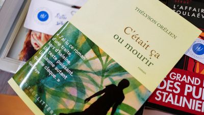 Will AI write our books? Row over bestseller fuels fear over future of literature