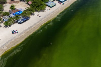 Sea around popular tourist island turned a bright smelly green