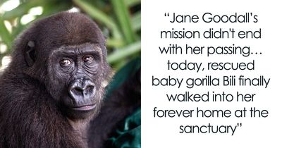 This Heartwarming Animal Rescue Is Proof That Dr. Jane Goodall’s Spirit Lives On