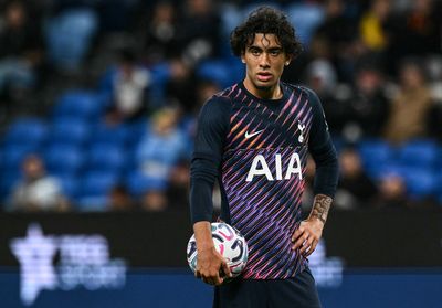 Tottenham's big transfer decision over Luca Williams-Barnett after squad promotion