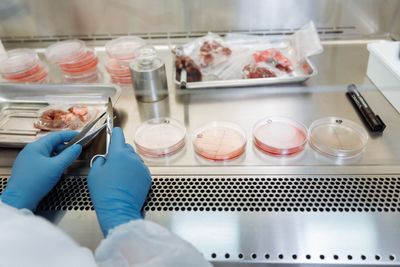 FDA Opens Third Listeria Investigation with No Named Food as E. Coli Outbreak Rises from 25 to 38