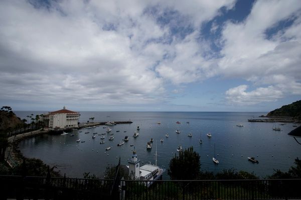 Divers find body of person missing from California helicopter crash that killed 2 others