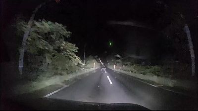 Video shows bear slamming into car in northern Japan