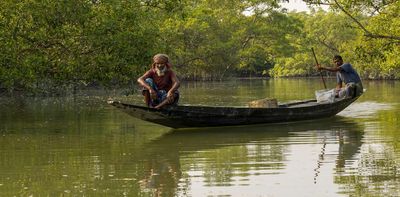 Mangrove restoration is becoming big business, but benefits don’t always reach local people