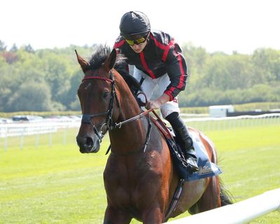 Prix de l’Arc de Triomphe: Waud seeks Hollywood ending after Snakes on a Plane