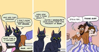 Akeem S. Roberts Created 22 Comics About The Mischief His Two Black Cats Get Up To