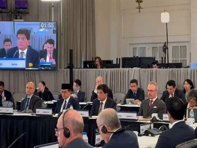 Goyal at G20: India opposes making MFN conditional on WTO obligations