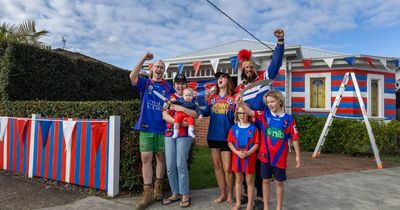 5000 litres of beer, 1.25 tonnes of hot chips: the big business of Knights' grand final frenzy
