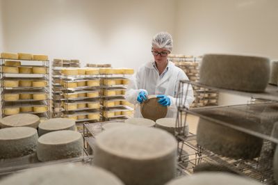 Listeria Warning Letter to Ohio's Middlefield Cheese Cooperative Appeared Online Nearly Seven Months After FDA Sent It