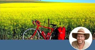Chasing the green and gold: the unstoppable force of canola tourism