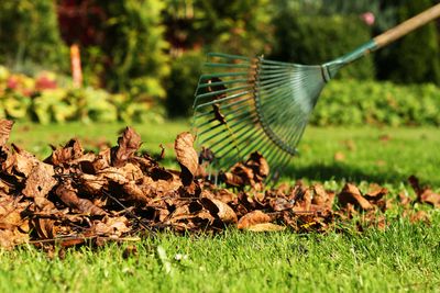 October Lawn Care Tasks That Protect Your Grass Before Winter